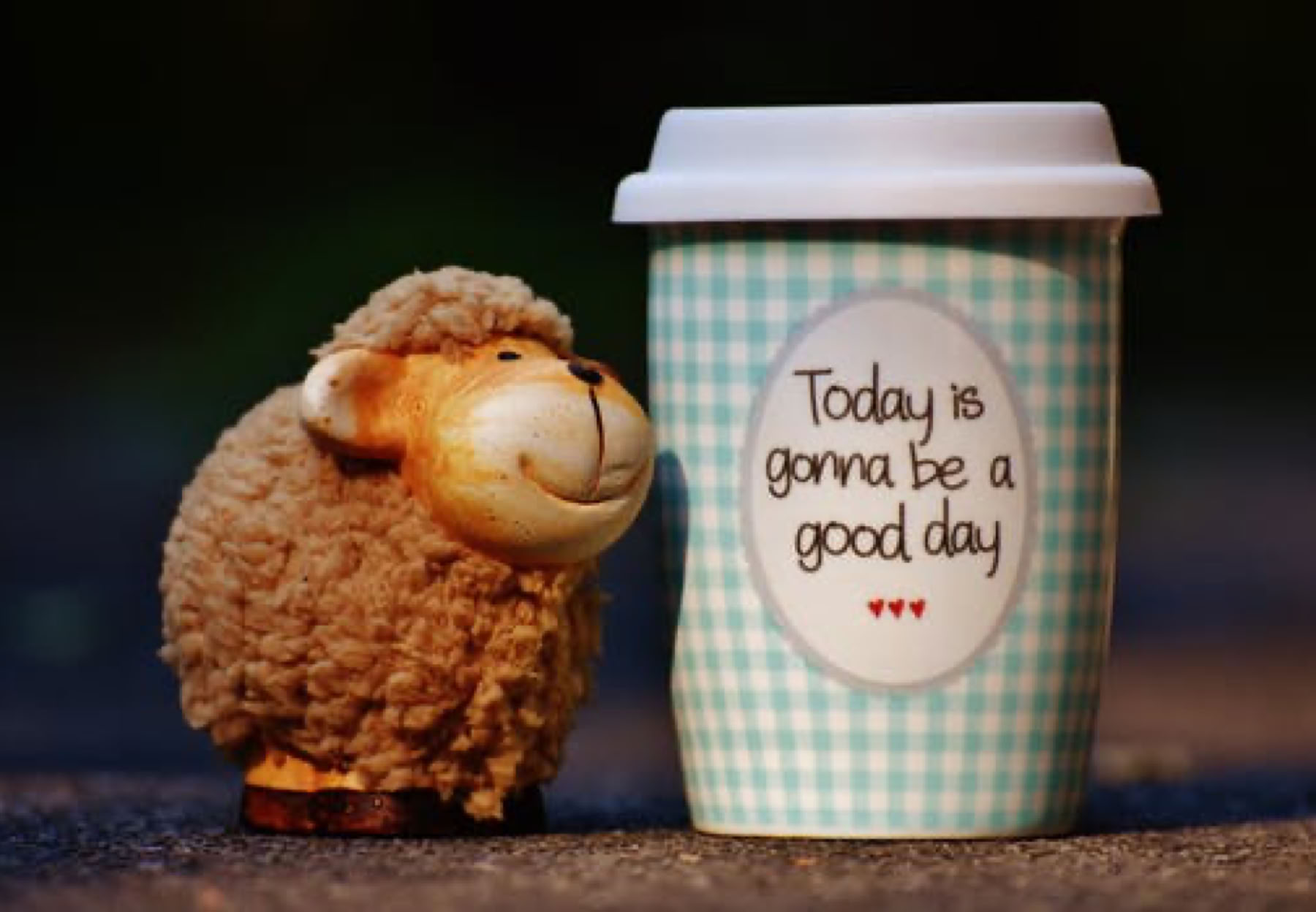 Tevreden schaap leunt tegen een koffiebeker met de tekst 'Today is gonna be a great day'. Overwin problemen van stress, angsten en nare emoties en krijg rust en ruimte in uw hoofd.